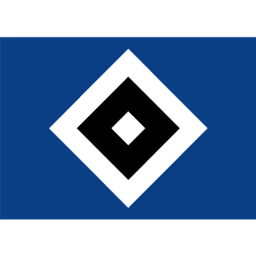 Hamburger SV - Player Daniel Elfadli 461485 303762 Result