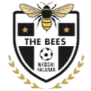 The Bees FC - Fc VS Kruger United Result