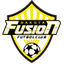 Dakota Fusion FC - Usa Npsl 32955 Live