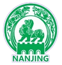 Nanjing - Team VS Nanjing Live Score