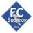 FC Suduroy - Player Ingi Jonhardsson 390072 300270 Scores