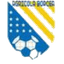 FC Agricola Borcea - Rom Cup 32032 Result