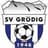 SV Grodig - Team Sk Vorwarts Steyr 302624 Football Live Score