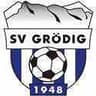 SV Grodig - Team St Johann 315650 Football Live Score