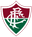 Fluminense RJ Youth - Player Elias Miguel Trevizan Telles 721836 301528 Result