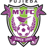 Fujieda MYFC - Team Fujieda Myfc 299705 Football Score
