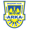 Arka Gdynia - Team Arka Gdynia 301633 Football