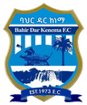 Bahir Dar Kenema FC - Team Halaba City 366254 Live Result
