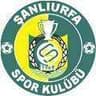 Şanlıurfaspor - Team Anlurfaspor 310346 Live Score