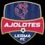 Ajolotes Lerma FC - Mex Liga Premier Serie A 32746 Live