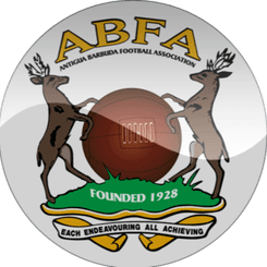 Antigua and Barbuda - Player Jayden Martin 712902 314297 Live Score Today