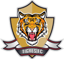 Tigres Zipaquira - Palmira VS Tigres Zipaquira Sport