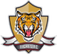 Tigres Zipaquira - Col Torneo Betplay Dimayor 32235 Football Live Score