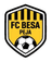 FC Besa Peja - Kos Division 33224 Football Score