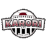Waterside Karori - Team Wellington Olympic 299206 Live Football