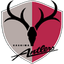 Kashima Antlers - Team Kashima Antlers 300864 Live