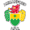 Ammanford - Saints VS Ammanford Result