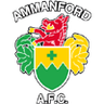 Ammanford - Team Ammanford 319098 Live Score Today