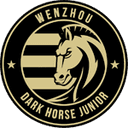 Wenzhou Professional Football Club - Club VS Chengdu Rongcheng B Score