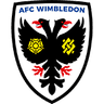 AFC Wimbledon - Team Fulham 303739 Sport