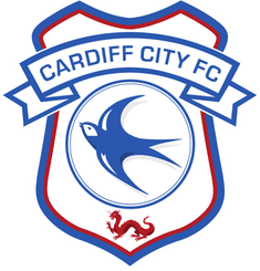 Cardiff City - Player Alexander Sean Pablo Robertson 628186 303743 Live Result