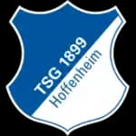 TSG Hoffenheim Youth - Player Luka Uri 624077 302765 Schedule