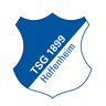 Hoffenheim U19 - Team Werder Bremen U 310300 Live