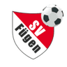 SV Fugen - Team Sv Fugen 326873 Live Score Today