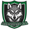 Acambaro FC - Team Acambaro Fc 388834 Live Score Today