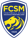 Sochaux - Team As Sainttienne 304348 Football Result