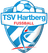 TSV Hartberg - Live Player Arjan Malic 946803 303953