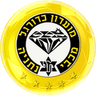 Maccabi Netanya - Team Maccabi Netanya 304742 Football