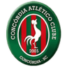 Concordia U20 - Team Criciuma Sc Youth 302644 Results