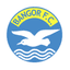 Bangor FC - Nir Premier League 31994 Live Football