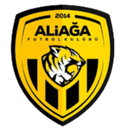 Aliaga Futbol - Futbol VS Bursaspor Live Score