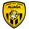 Aliaga Futbol - Team Arnavutky Bgs 346168 Results