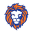 Queensland Lions SC - Team Melbourne City 316375 Live Score Today