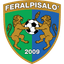 FeralpiSalo U19 - Team Feralpisalo U 359439 Live Score Today