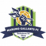 Marumo Gallants FC - Team Marumo Gallants Fc 331658 Football Live