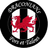 Cardiff Draconians FC - Team Trefelin Bgc 351228 Live Result