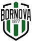 Bornova 1877 SK - Tur Third League 32078 Football Result