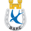 Dungannon Swifts - Nir Premier League 31994 Football Live Score