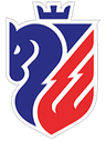 FC Botosani - Team Fc Botosani 301556 Live Score