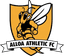 Alloa Athletic - Team Alloa Athletic 301631 Football Result