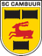 Cambuur Leeuwarden U21 - Ned Reserve League 32804 Football Score