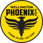 Wellington Phoenix - Aus Aleague 32346 Football Score