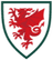 Wales (w) - Player Sbredgaard 390566 319691 Live Score Today