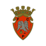 Penafiel - Team Penafiel 303813 Live Score Today