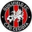 Guilsfield - Wal Cymru Championship 33346 Result