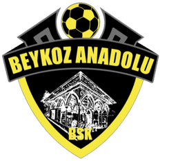 Beykoz Anadolu - Player Halef Keklik 816289 316903 Football Live Score